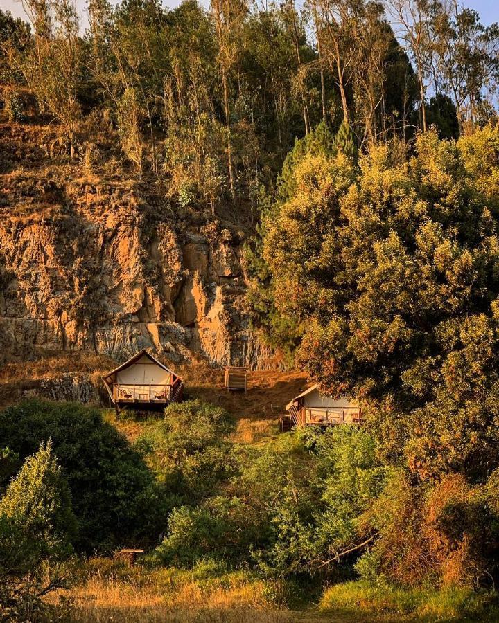 فندق Niddo سويسكا المظهر الخارجي الصورة